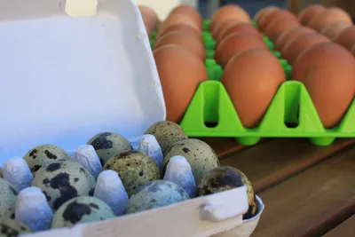 Frische Eier vom Märit